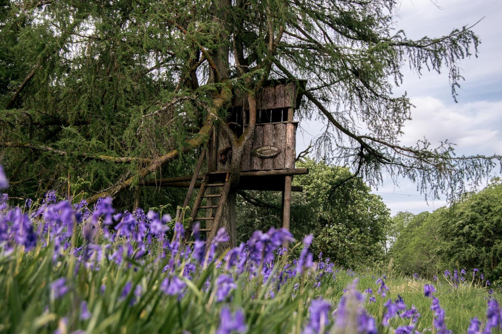 Hotel Wild Boar Estate à Bowness-on-Windermere Extérieur photo