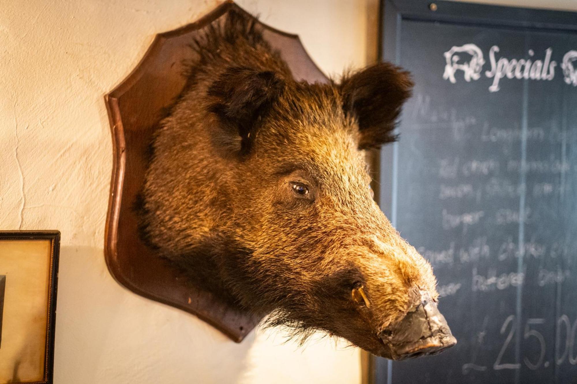 Hotel Wild Boar Estate à Bowness-on-Windermere Extérieur photo